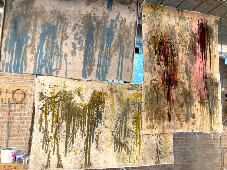 "the steve collection"